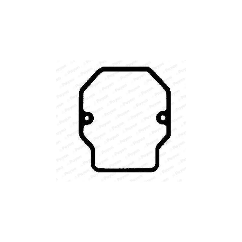 Joint de cache culbuteurs PAYEN JM7129