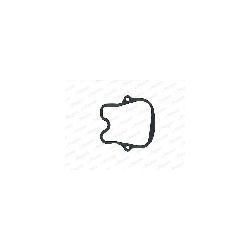 Joint de cache culbuteurs PAYEN JN977