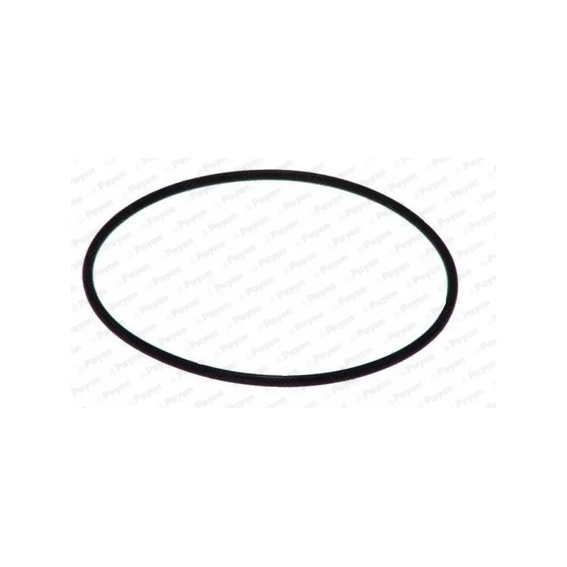 Joint d'étanchéité, chemise de cylindre PAYEN LA5251
