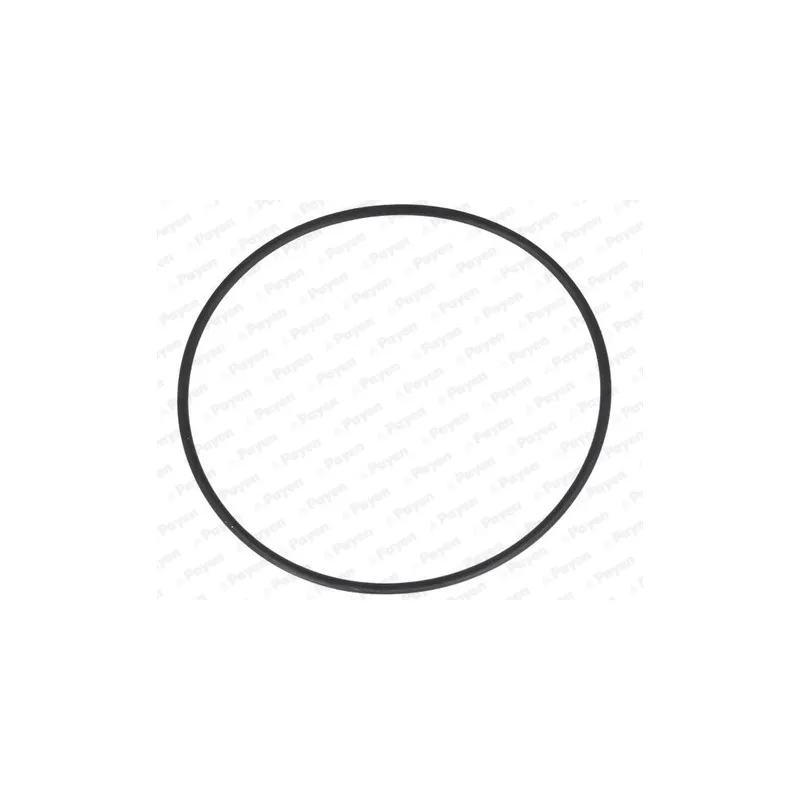 Joint d'étanchéité, chemise de cylindre PAYEN LA5257