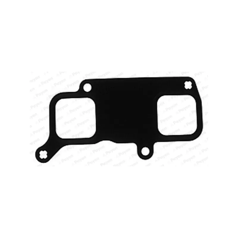 Joint d'étanchéité, collecteur d'admission PAYEN JD5283