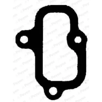 Joint d'étanchéité, collecteur d'admission PAYEN