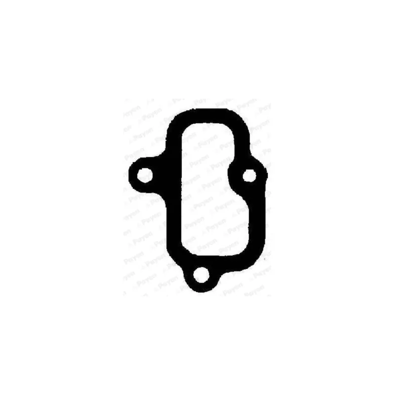 Joint d'étanchéité, collecteur d'admission PAYEN JD5853