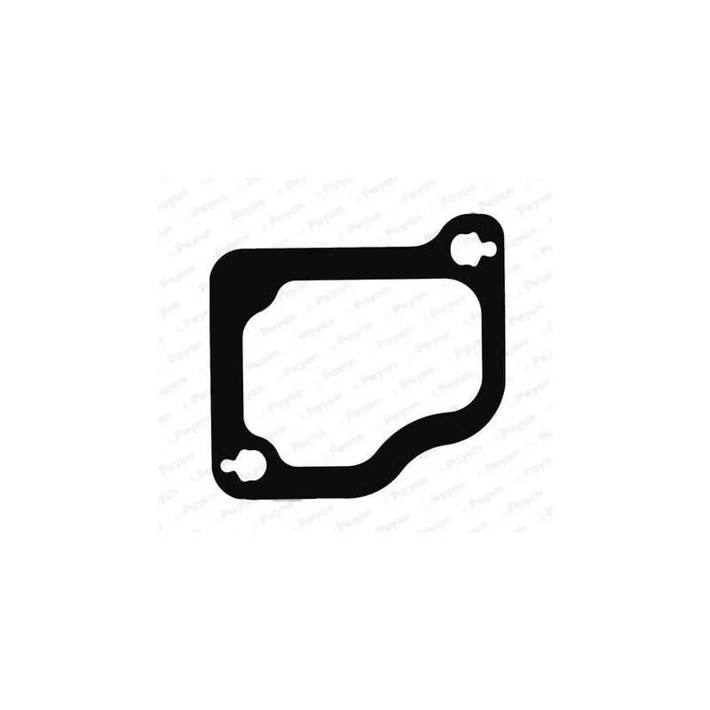 Joint d'étanchéité, collecteur d'admission PAYEN JD5975