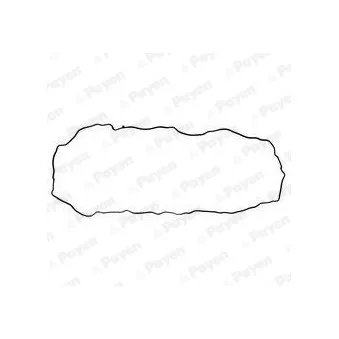 Joint d'étanchéité, carter d'huile PAYEN