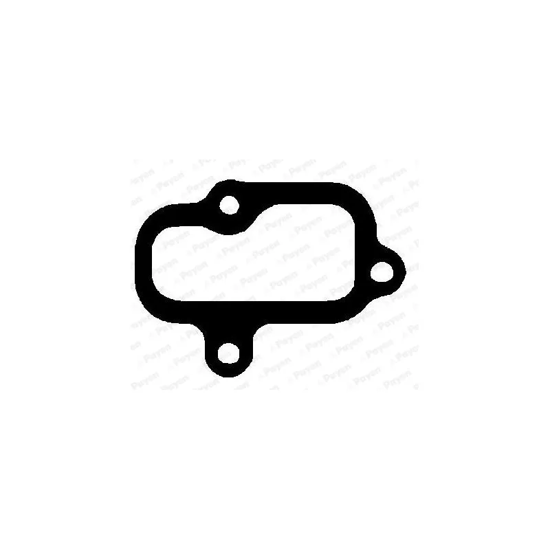 Joint d'étanchéité, collecteur d'admission PAYEN JD6064