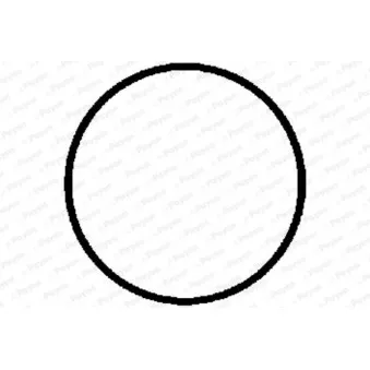 Joint d'étanchéité, collecteur d'échappement PAYEN