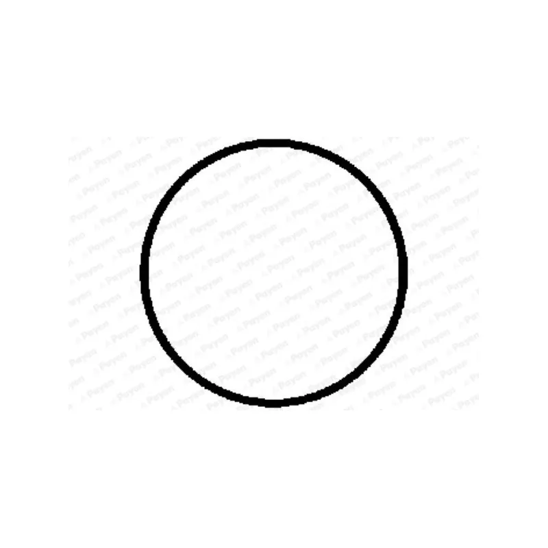 Joint d'étanchéité, collecteur d'échappement PAYEN JD321