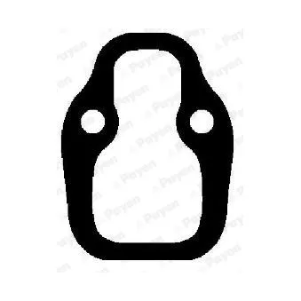 Joint d'étanchéité, collecteur d'admission PAYEN