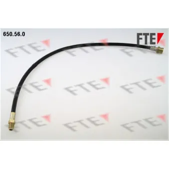 Flexible de frein FTE