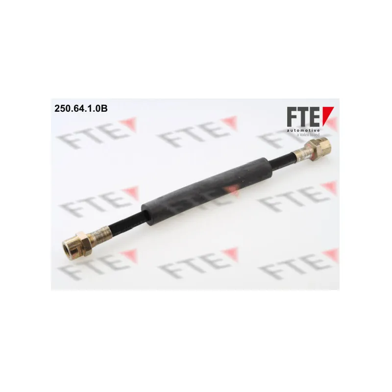 Flexible de frein FTE 250.64.1.0B