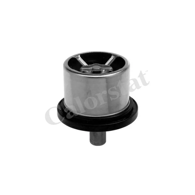 Thermostat d'eau CALORSTAT BY VERNET THCT16957.65