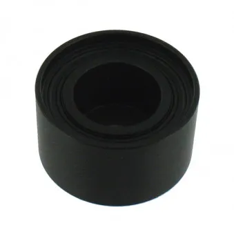 Poulie renvoi/transmission, courroie trapézoïdale à nervures SKF