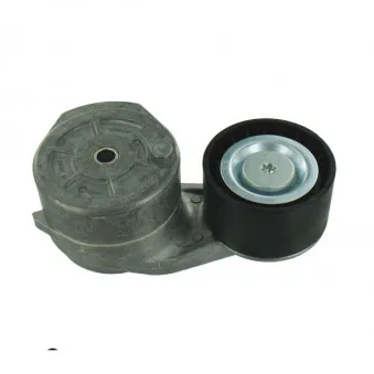 Poulie-tendeur, courroie trapézoïdale à nervures SKF