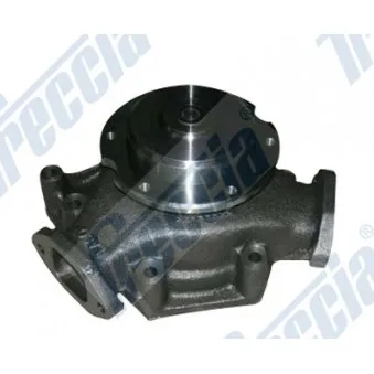 Pompe à eau FRECCIA