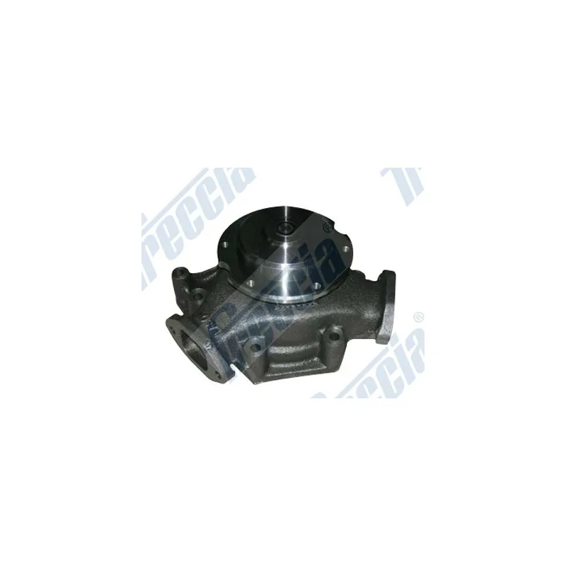 Pompe à eau FRECCIA WP0580