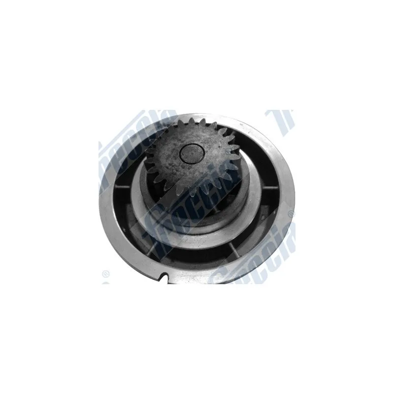 Pompe à eau FRECCIA WP0585