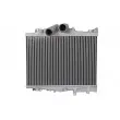 Intercooler, échangeur THERMOTEC DAME006TT - Visuel 1