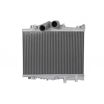 Intercooler, échangeur THERMOTEC DAME006TT