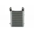 Intercooler, échangeur THERMOTEC DADA002TT - Visuel 1