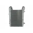 Intercooler, échangeur THERMOTEC DADA002TT - Visuel 2