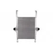 Intercooler, échangeur THERMOTEC DAIV002TT - Visuel 1