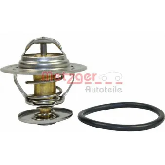 Thermostat d'eau METZGER