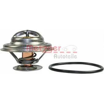 Thermostat d'eau METZGER