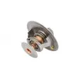 Thermostat d'eau THERMOTEC D2CU004TT - Visuel 2