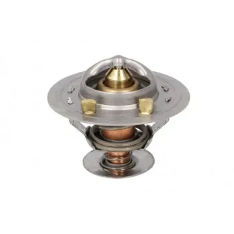 Thermostat d'eau THERMOTEC D2CU004TT
