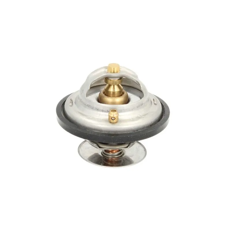 Thermostat d'eau THERMOTEC D2MA005TT