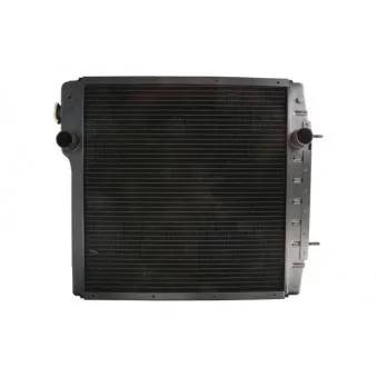 Radiateur, refroidissement du moteur THERMOTEC D7AG010TT