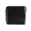 Radiateur, refroidissement du moteur THERMOTEC D7AG010TT - Visuel 2