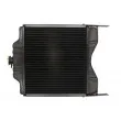 Radiateur, refroidissement du moteur THERMOTEC D7AG018TT - Visuel 2