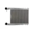 Intercooler, échangeur THERMOTEC DARV001TT - Visuel 1