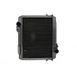 Radiateur, refroidissement du moteur THERMOTEC D7AG129TT - Visuel 1