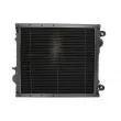 Radiateur, refroidissement du moteur THERMOTEC D7AG081TT - Visuel 2