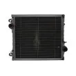 Radiateur, refroidissement du moteur THERMOTEC D7AG081TT - Visuel 1