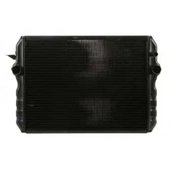 Radiateur, refroidissement du moteur THERMOTEC D7AG087TT