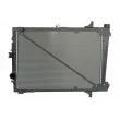 Radiateur, refroidissement du moteur THERMOTEC D7DA011TT - Visuel 1