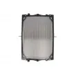 Radiateur, refroidissement du moteur THERMOTEC D7DA017TT - Visuel 1