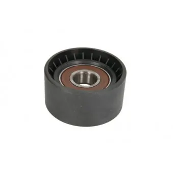 Poulie-tendeur, courroie trapézoïdale à nervures BTA