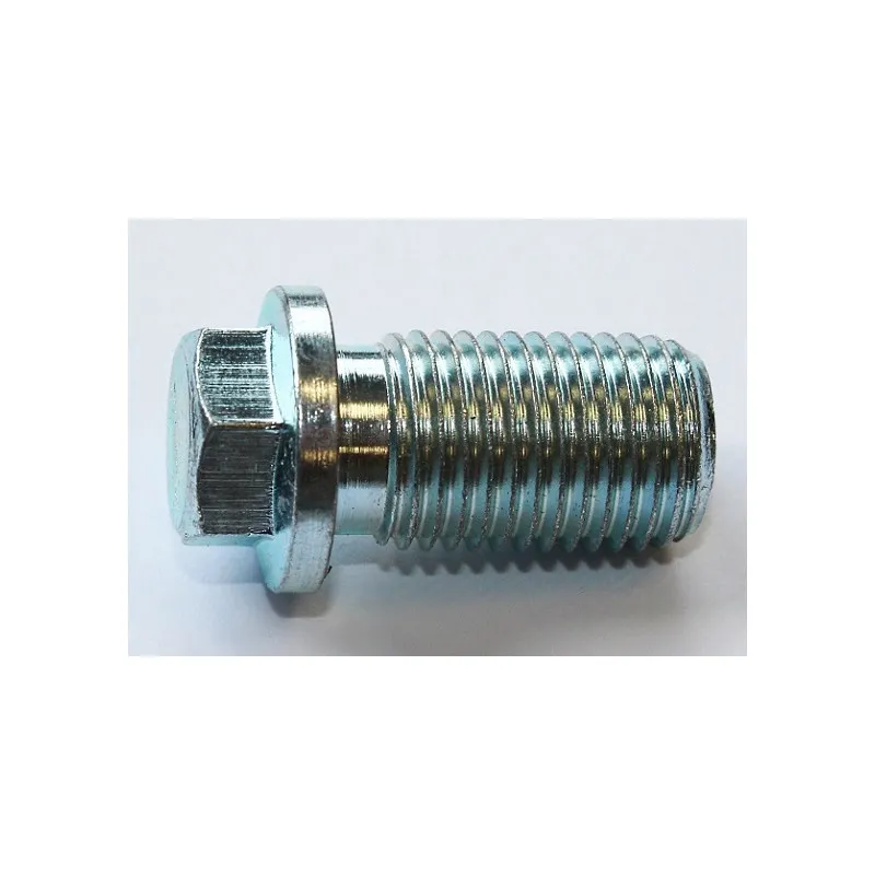 Vis-bouchon, carter d'huile ELRING 303.220