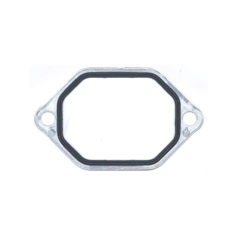 Joint d'étanchéité, carter de collecteur d'admission ELRING 764.485