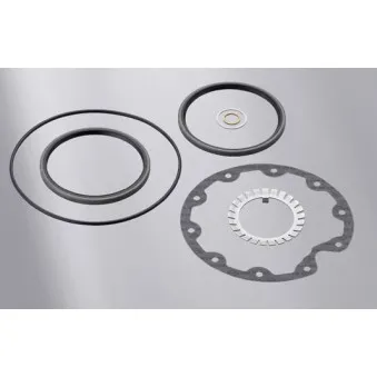 Jeu de joints d'étanchéité, moyeu de roue ELRING