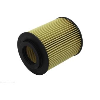 Filtre à huile AUTOMEGA 180039110