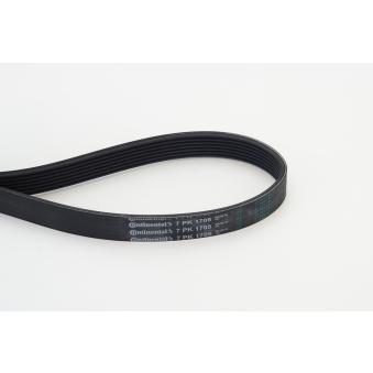 Courroie trapézoïdale à nervures CONTITECH