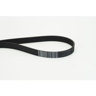Courroie trapézoïdale à nervures CONTITECH 8PK2283