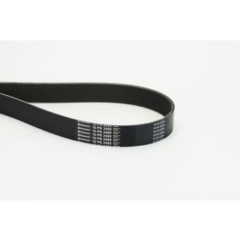 Courroie trapézoïdale à nervures CONTITECH 10PK2495