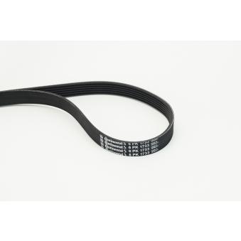 Courroie trapézoïdale à nervures CONTITECH